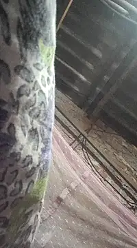 HotSexyBoudi online show from December 2024 09:01:01 AM