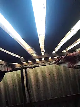 HotSexyBoudi online show from October 2025 08:48:02 AM