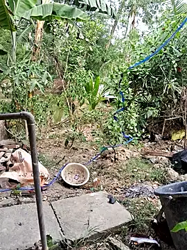 HotSexyBoudi online show from April 2026 08:51:02 AM