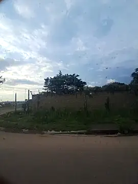 Petrossa online show from November 2025 04:15:02 AM