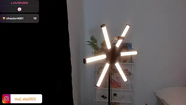 mulata 1ch online show from October 2025 12:42:02 AM