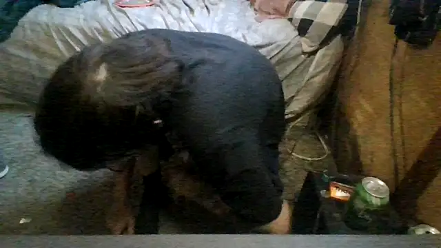 ySqmbVanbe online show from April 2026 04:39:01 PM