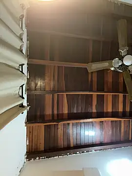 tom thick online show from March 2025 02:32:01 AM