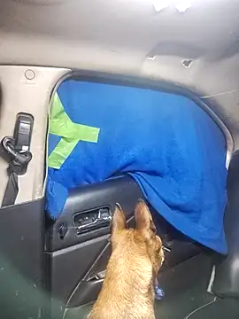 FloppyPickle4u online show from February 2025 05:31:02 PM