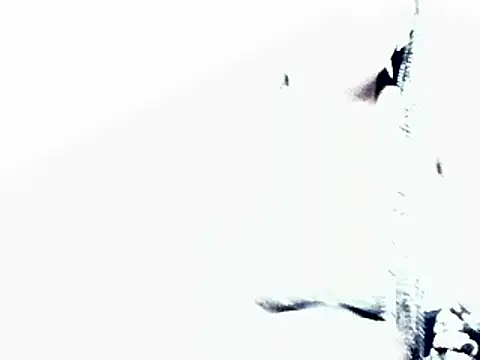 HotJeylee online show from February 2025 12:22:02 PM