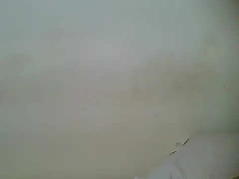 HotJeylee online show from February 2025 01:25:02 PM