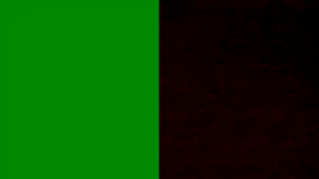 BongChannel online show from January 2025 06:13:02 PM