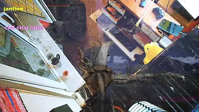 BongChannel online show from March 2025 03:54:01 AM