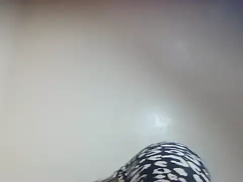 Snapshot of Creamy_candy17 chatting on October 2025 01:41:02 PM Creamy candy17 online show from October 2025 01:41:02 PM