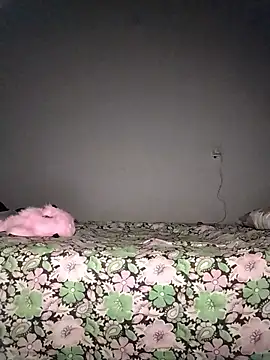 Sexygarl1024 online show from January 2026 11:52:02 PM