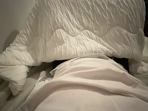 Snapshot of shiro_3 chatting on October 2025 01:51:02 PM shiro 3 online show from October 2025 01:51:02 PM