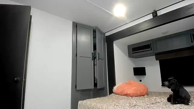 Persiasparadise online show from February 2026 01:46:02 AM