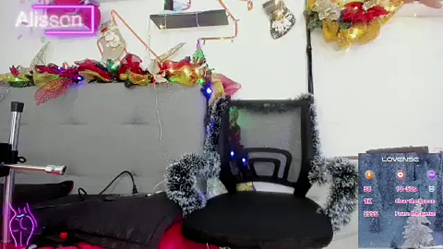 alissonandamy online show from December 2024 11:38:02 AM
