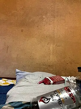 punk0805 online show from April 2026 06:58:02 AM