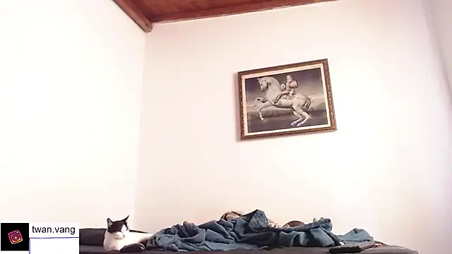 Trix fiore oficial online show from November 2025 03:55:01 PM