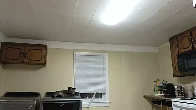 Snapshot of sexylilly69 chatting on October 2025 02:00:02 AM sexylilly69 online show from October 2025 02:00:02 AM