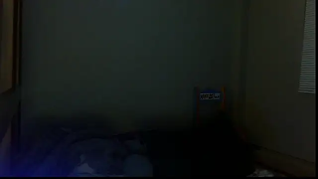 Snapshot of SexWorkerX chatting on October 2025 03:28:01 AM SexWorkerX online show from October 2025 03:28:01 AM