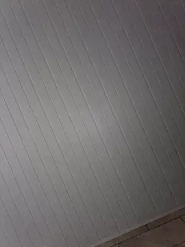 By Aninha online show from January 2026 05:55:01 AM