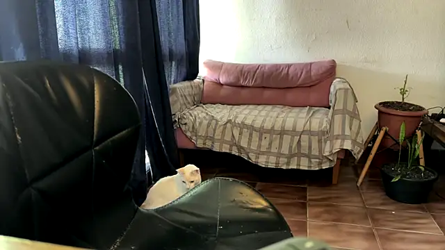 gerson173Hugo online show from January 2026 12:18:01 PM