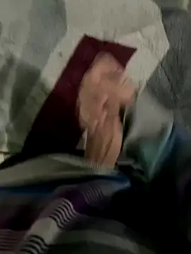 noovin20cm online show from October 2025 06:41:01 PM