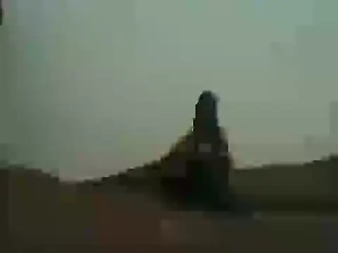 toysuga online show from March 2026 07:15:02 PM