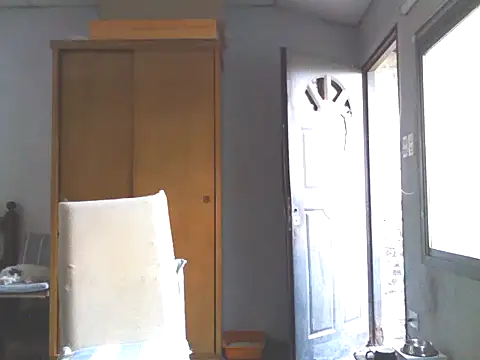 nicedick bro online show from January 2025 10:28:02 AM