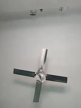 nicedick bro online show from October 2025 06:38:02 PM