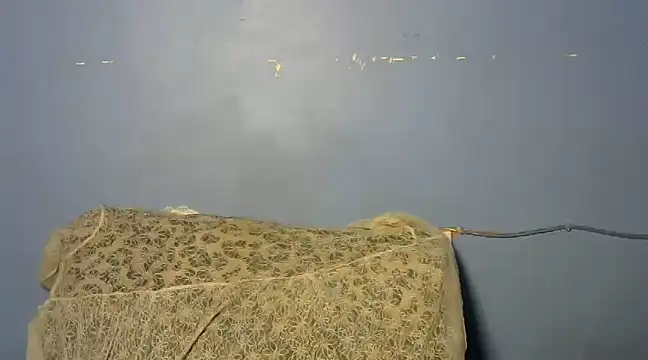 Snapshot of shishbabe chatting on March 2025 04:49:01 AM shishbabe online show from March 2025 04:49:01 AM