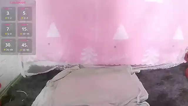 Snapshot of Stumpy_Governor chatting on February 2025 06:01:02 AM Stumpy Governor online show from February 2025 06:01:02 AM