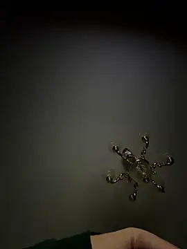 Jose rz online show from March 2026 06:50:02 AM