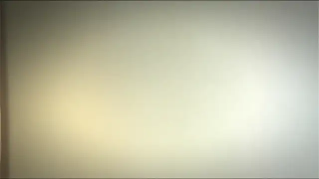 Elation Evy online show from April 2026 03:55:02 PM