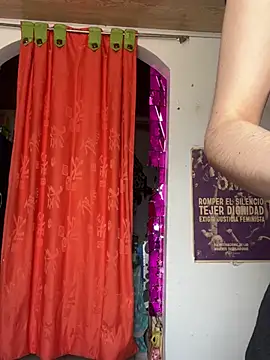  Artemisa X online show from February 2025 07:30:01 PM