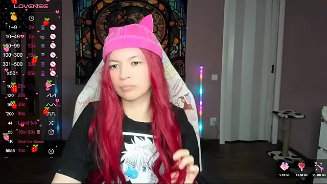 Project hisoka online show from January 2025 01:34:02 AM