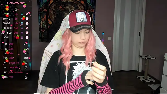 Project hisoka online show from January 2025 02:32:01 PM