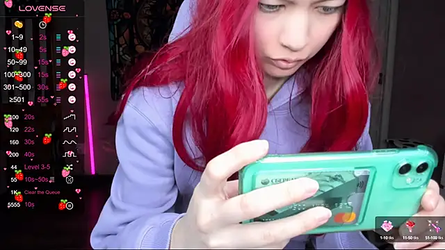 Project hisoka online show from January 2025 06:03:01 AM