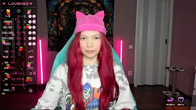 Project hisoka online show from February 2025 03:41:02 PM