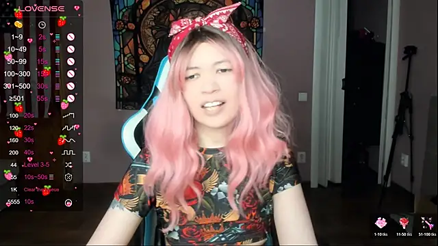 Project hisoka online show from April 2026 01:39:01 AM