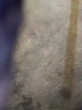 Yasha 14C Creator online show from October 2025 10:05:02 AM