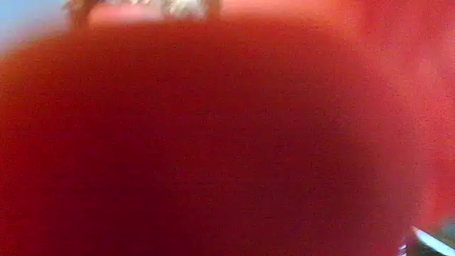 mateodeamjo online show from January 2026 08:44:02 PM