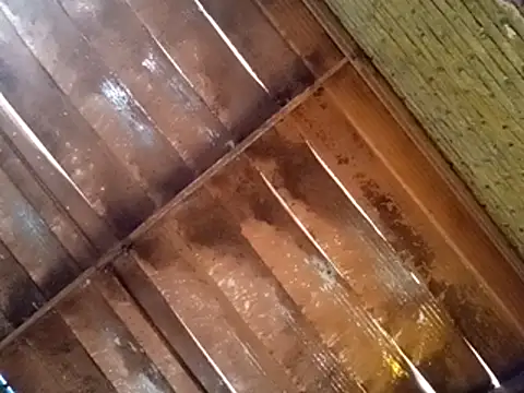 Snapshot of Pablunt-rap chatting on November 2025 02:16:01 PM Pablunt-rap online show from November 2025 02:16:01 PM