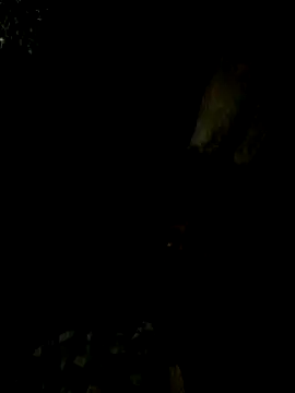 Tamil boy age28 online show from February 2025 05:17:02 PM