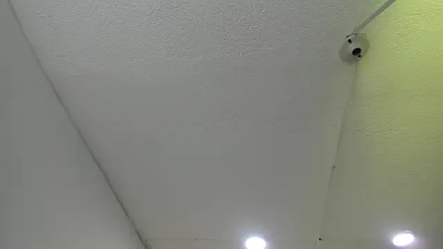 MelissaKarterrs online show from January 2025 11:58:02 AM