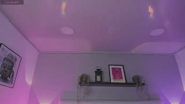 sofi bakerr online show from February 2026 11:40:01 AM