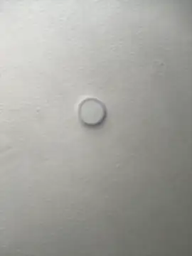 Salome golvert online show from September 2025 03:35:02 PM