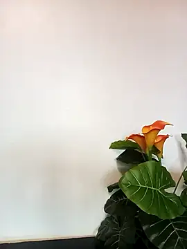 JemaimaPrincess online show from March 2025 11:22:02 AM