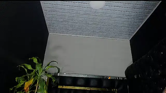 Snapshot of Kitie_Petarda chatting on October 2025 09:59:02 PM Kitie Petarda online show from October 2025 09:59:02 PM