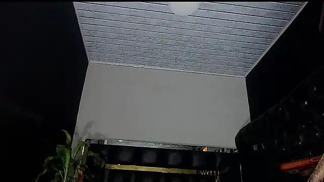 Snapshot of Kitie_Petarda chatting on October 2025 08:46:01 AM Kitie Petarda online show from October 2025 08:46:01 AM