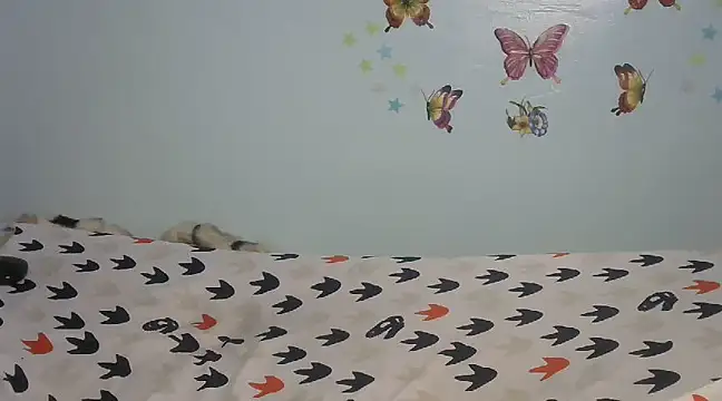 laetitia  online show from February 2025 06:38:01 PM