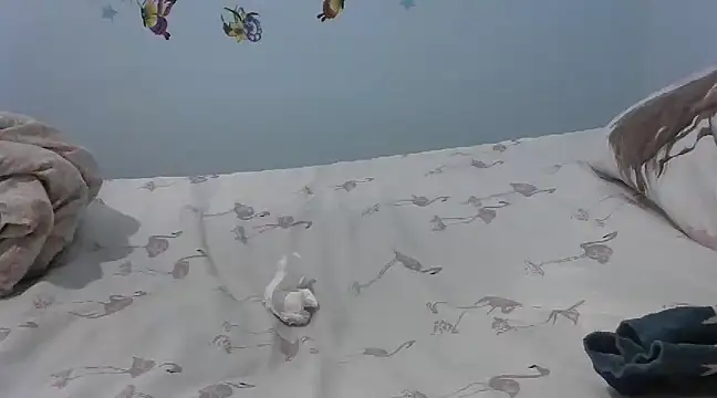 laetitia  online show from February 2025 04:04:02 AM