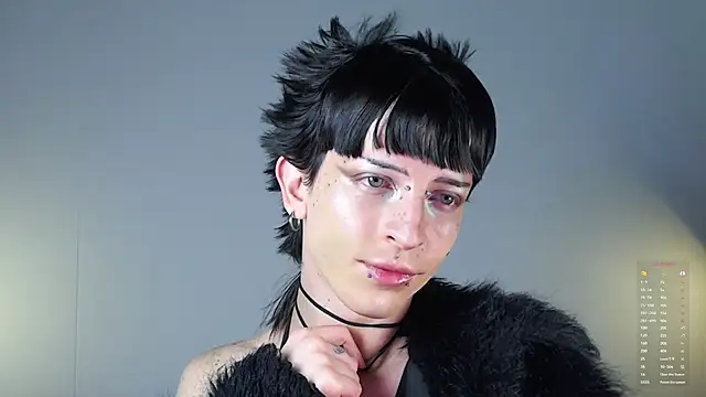 succubot online show from November 2025 11:13:02 AM